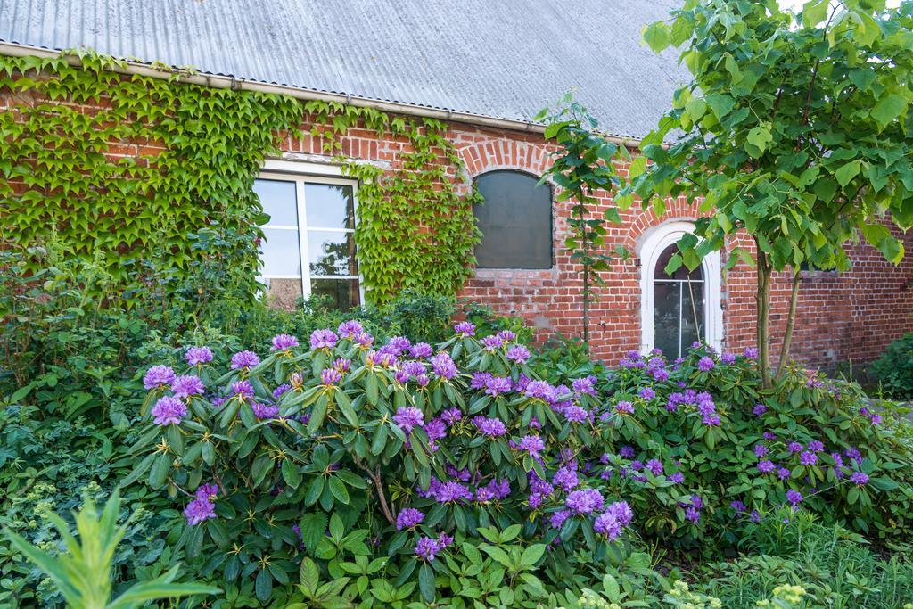 Ferienhof Kolauerhof - Bauernhofurlaub In Grömitz Eksteriør bilde