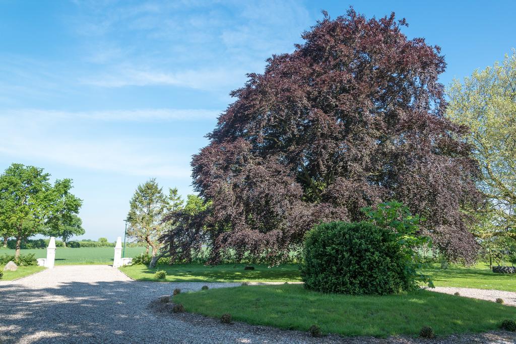 Ferienhof Kolauerhof - Bauernhofurlaub In Grömitz Eksteriør bilde